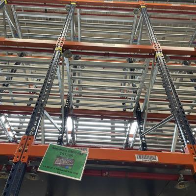 Paletniregali Maxima